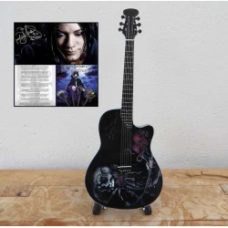 Gitaar akoestisch van DJ Ashba  Bone Daddy