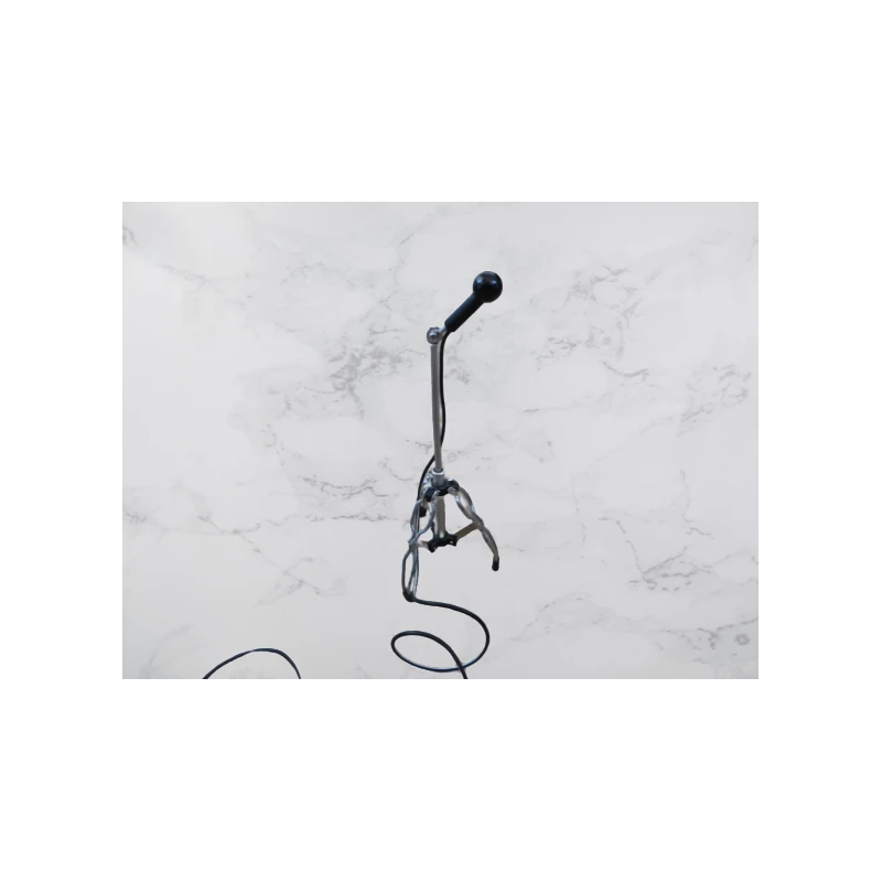 Microphone on regular stand (metal extendable)